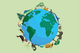 Definition Biodiversity Is A Term Which Describes Every Living Organism Within A Single Ecosystem Or Habitat Includi In 2020 Biodiversity Ecosystems Aquatic Ecosystem