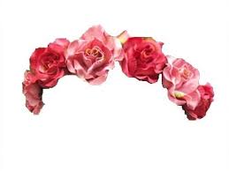 Transparent Flower Crown Google Search Transparent Flowers Tumblr Flower Flower Crown Tumblr