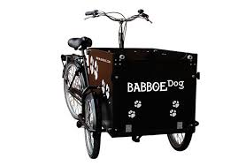 Das Ideale Hundetranport Lastenfahrrad