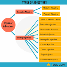 11 Types Of Adjectives In English With Examples 7 E S L English Adjectives Adjectives Adjectives Grammar