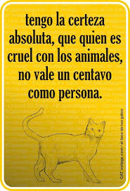 Pin De Sonia Pulido Zarzalejo En Neko Loca De Los Gatos Animales Gatos