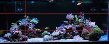 Design your nano reef aquascape as if you are framing a photograph. Reef Tank Aquascapes 16 Design Tips For Creating A Stunning Tank The Beginners Reef