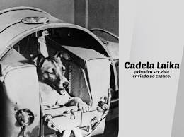 Homenagem a cadela Laika, uma heroína involuntária - Sanol Dog