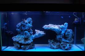 Designed to easily connect and stack together to create amazing aquascapes without the need for any additional tools. Aquascape Ideas Aquascaping Reef Tank Ideas