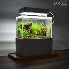 Obviously there are thousands of ways to do this so this is just an example. Mini Complete Tank Shrimp Aquascape Nano Desktop Fish Aquarium Ebay