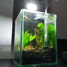 9 aquascape nano tank ideas 9. Paket Nano Aquascape Shopee Indonesia