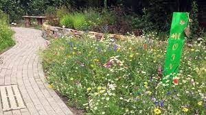 Doch der park der gärten überzeugt nicht nur mit seiner gartenkultur, sondern rückt immer atmosphärisch und ästhetisch nicht zu überbieten: Park Der Garten Saisonbilanz 2020 Gabot De