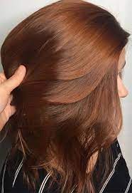 Only an image of this color can make people feel warm. 55 Auburn Hair Color Shades To Burn For Auburn Hair Dye Tips Glowsly