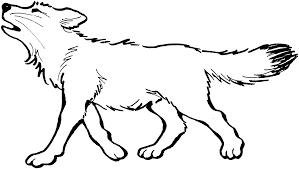 The most common species of wolves are the gray wolf and is the one species of wolves that people are most familiar with. Pt5bb8e6c Free Real Wolf Coloring Pages For Adults Printable Fantasy Teens Adcosheriffsfoundation