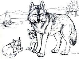 Click on the free wolf color page you would like to print, if you print them all you can make your own wolves coloring book! Free Printable Wolf Coloring Pages For Kids Puppy Coloring Pages Wolf Colors Animal Coloring Pages