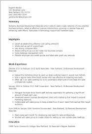 business development associate resume
