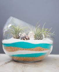 Whatever the climate may be in your large, expansive home or your teeny tiny apartment, a terrarium—given a healthy dose of indirect light and an occasional spritz of water—will be happy as a clam. Sand Art Terrarium Diy Plus How To Care For Air Plants Gina Michele
