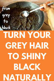 And keeping it simple and innocent is the key. Turn Your Grey Hair To Shiny Black Naturally Today I Will Show How Can You Get Rid Of Premature Grey Premature Grey Hair Natural Hair Styles Natural Gray Hair
