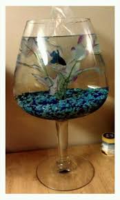 Oversized Brandy Glass Betta Fish Bowl Betta Fish Betta Fish Bowl Small Fish Tanks