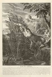 Bibliotheque De Valenciennes Pan Et Syrinx Les Metamorphoses D Ovide Ed 1806 Mythologie Grecque Estampes 19e Siecle