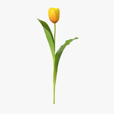 Tulips Yellow Single Standing 3d Model Ad Yellow Tulips Single Model Tulips Tulip Painting Yellow Tulips