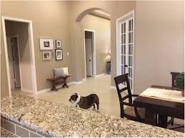 Beige Color Paint For Living Room Paint Colors For Living Room Beige Living Rooms Beige Paint Colors