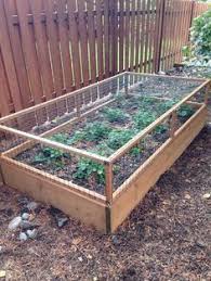 Strawberry Cage Also A Rabbit Proof Cage For Salad Garden Diy Garden Projects Vegetable Garden For Beginners Vegetable Garden Design