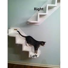 Wall Mounted Cat Stairs Cat Stairs Diy Cat Tree Pet Stairs