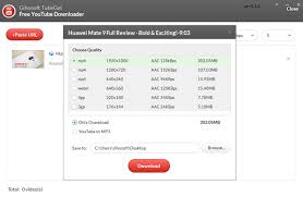 The 5 Best Youtube Playlist Downloaders To Grab Videos In Bulk Youtube Playlist Video Streaming Download Video