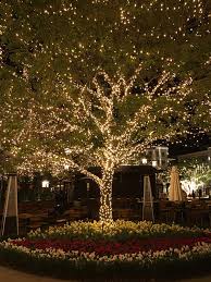 Browse Our Domain For A Good Deal More All About This Incredible Outdoor Lighting Floor Outdoo Outdoor Christmas Lights Outdoor Backyard Outdoor Tree Lighting