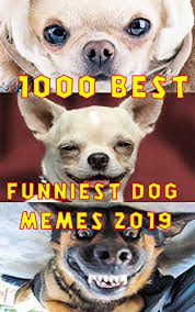 1000 Best Funniest Dog Memes Best Dog Memes Clean Dog Memes For Kids That Get Millions Of Shares In Social Media By Web Academy School The best gifs are on giphy.