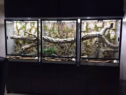 Pin On Reptiles Reptile Enclosures
