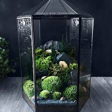 Large Greenhouse Moss Terrarium With Landscape Scene In Geometric House Shaped Vessel Large Glass Terrarium Succulent Terrarium Glass Terrarium