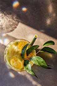 Mumbai Mule Recipe Recipe Ginger Beer Winter Drinks Moscow Mule Drink Recipes