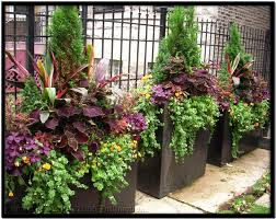 Commercial Planters For Trees Tu Bloom Garden Landscape Design Services Residential Commercial Potted Plants Outdoor Garden Containers Summer Planter