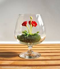 Tiny Red Poppy Woodland Terrarium In Brandy Glass Brandy Glass Poppy Red Terrarium Tiny Woodland Orchid Terrarium Terrarium Air Plant Terrarium