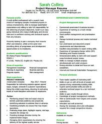 Entry Level It Project Manager Resume Template It Infrastructure Manager Resume If You Are In Project Manager Resume Executive Resume Template Writing A Cv