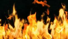 Currently, it is released for android, microsoft windows. Best Fire Background Video Free Download Gifs Gfycat