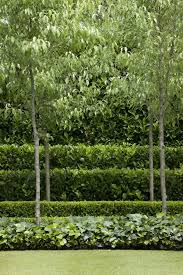 Would Love To Front Lawn To Be Hedged In Eventually With Trees Grouped In Front Hedges Landscaping Front Yard Garden Design Front Yard Landscaping Design