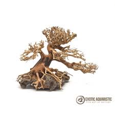 Small Bonsai Driftwood N03 Bettafish Aquarium Fish Fishtank Tropicalfish Freshwater Bonsai Aquarium Aquarium Accessories Small Decorative Tree Bonsai