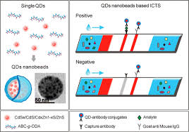 Pin On Immunochromatography Assay