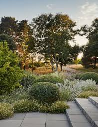 Little Dartmouth Farm South Devon Coastal Gardens Landscape Design Garden Landscape Design