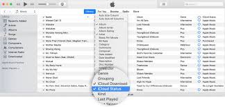 Identify Cloud Status Icons In Your Music Library On Your Mac Or Pc Music Library Itunes Icloud