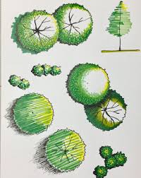 Sketches Architectural Drawings Promarker Trees Landscape Design Drawings Landscape Architecture Drawing Landscape Architecture Design
