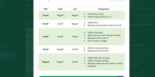Memahami Pcr Dan Rapid Test Pada Hasil Lab Covid 19 Seperti Apa Halaman All Kompas Com