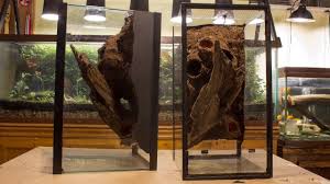 Diy Naturalistic Expanding Foam Vivarium Background Aquarium To Viv Conversion Pt 2a Youtube Vivarium Aquarium Backgrounds Expanding Foam