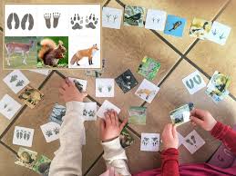 Freie kommerzielle nutzung keine namensnennung top qualität. Tiere Und Ihre Spuren Wunderwerkstatt