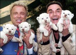 Siegfried and roy owe their fame and fortune to those cats. Tiger Attack Cbs News