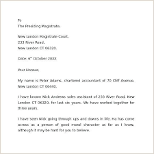 2 who should write this letter? Write A Letter To A Judge Template Hitachicustomersupportfo Reference Letter Sample Character Reference Letter Letter To Judge