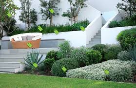 Can T See The Wood For The Trees House By The Water Modern Landscape Design Modern Garden Design Front Garden Design