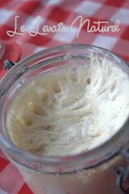 Levain Maison Comment Reussir La Naissance Du Levain Jeune Levain Maison Levain Recettes De Cuisine