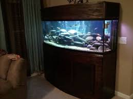 Iaredean S Freshwater Tanks Photo Id 37417 Full Version Fresh Water Fish Tank Fish Tank Custom Fish Tanks