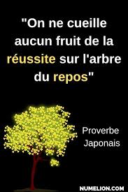 Proverbe Japonais Il Faut Travailler Pour Reussir Citations Reussite Proverbe Citation Succes