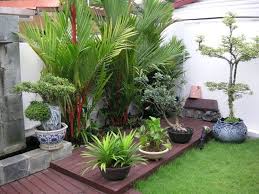 Outdoor Tropical Plants For Small Garden Design With Dark Wooden Deck Popular Garden Ideas Small Backyard Landscaping Small Garden Design Small House Garden