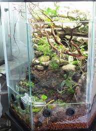 Start Planning Vivarium Vivarium Reptile Habitat Reptile Terrarium